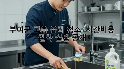 부여군 고층 유리 청소 ✨ 시간&비용 절약 꿀팁 공개!
